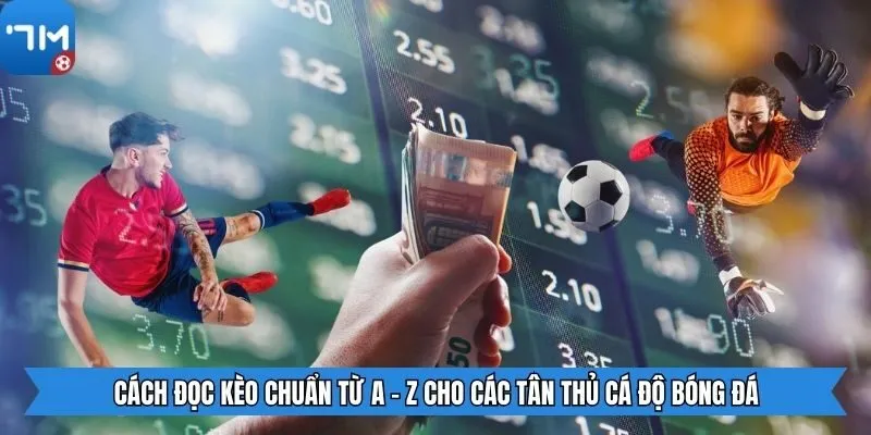 Cách Đọc Kèo Chuẩn Từ A - Z Cho Các Tân Thủ Cá Độ Bóng Đá