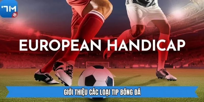 Giới thiệu các loại tip bóng đá
