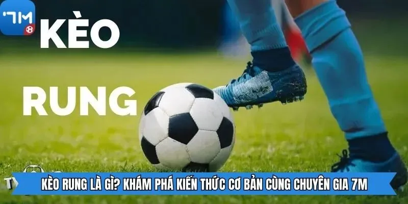 Kèo Rung Là Gì? Khám Phá Kiến Thức Cơ Bản Cùng Chuyên Gia 7m
